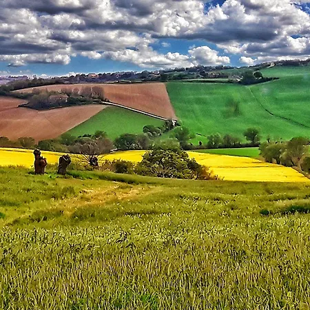 Lanterna Blu Hotel Senigallia